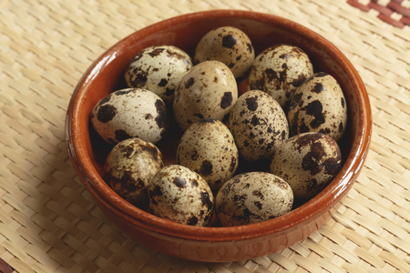 Tasty quail eggs freshly picked, ready to make delicious recipesの写真素材