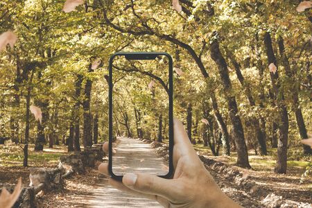 Hand holding a black smartphone while taking a picture of a forest in autumn with yellow and orange colors and its falling leavesの写真素材
