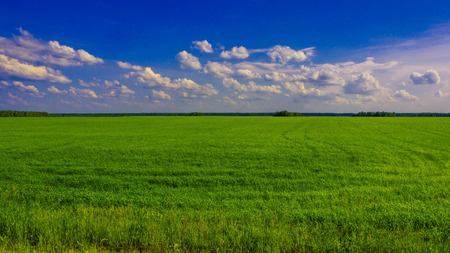 Green field on a Sunny dayの写真素材