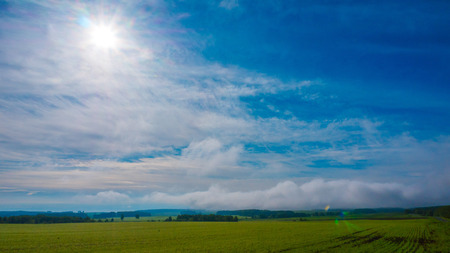 Green field on a Sunny dayの写真素材
