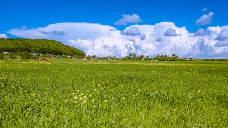 Green field on a Sunny dayの写真素材