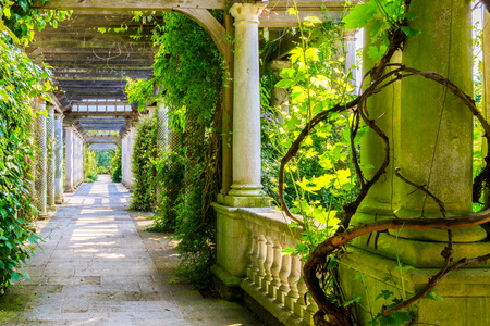 London, UK - June 9, 2016 - Hampstead Pergola and Hill Garden in London, Englandのeditorial素材