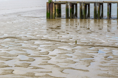 Mud appear at low tide along River Thames