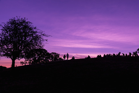 Silhouette of Primrose Hill in London against a purple skyの写真素材