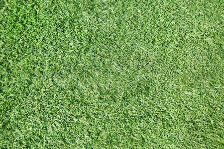 Artificial green lawn background for handball football tennis, texture Backgrounds, designの写真素材