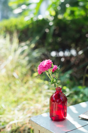 pink flower in the vaseの写真素材