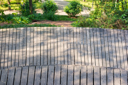 path in a park with facula on wood floorの写真素材