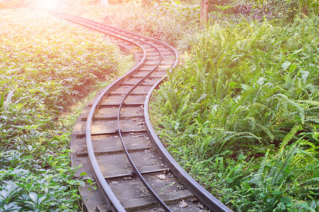 railway in the parkの写真素材