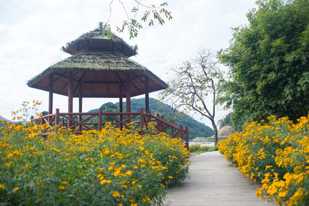 chinese mix style gardenの写真素材