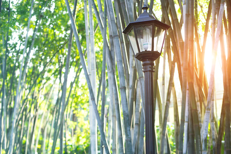 street light in the bamboo groveの素材 [FY31036491102]