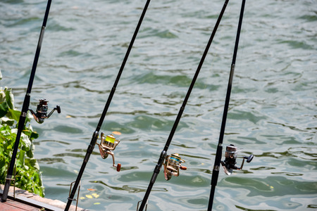 fishing rodの写真素材