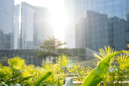 garden among modern buildingsの写真素材
