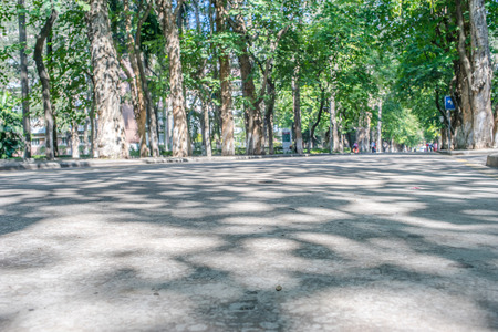 sunlight spot on the roadの写真素材