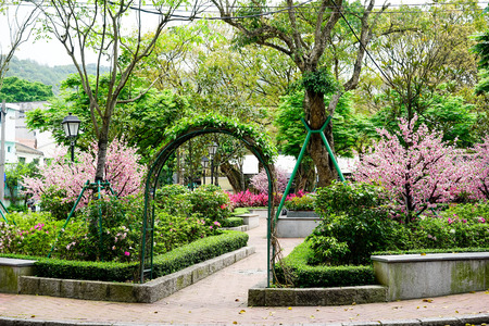 garden squareの写真素材