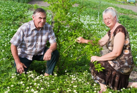 Closeup portrait of a smiling elderly coupleの写真素材