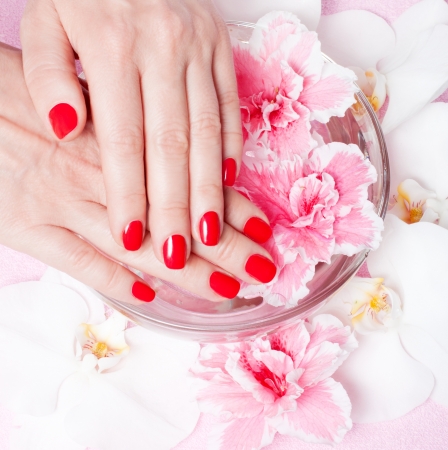 close-up of female hands with red nail polish on the background flowersの写真素材