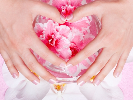 close-up of female hands with red nail polish on the background flowersの写真素材