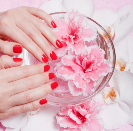 close-up of female hands with red nail polish on the background flowersの写真素材