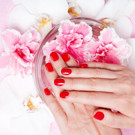 Red manicure with flowersの写真素材