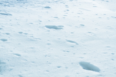 Ice background  Closeup の写真素材