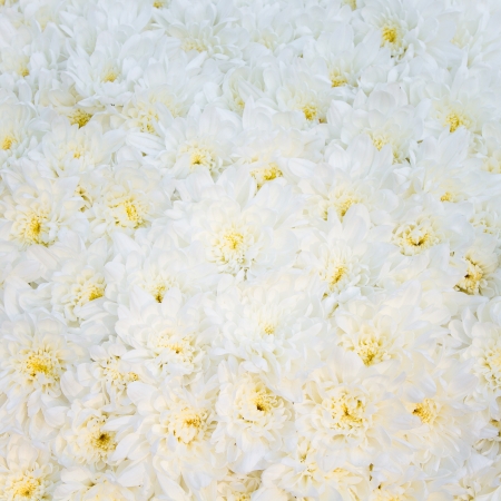 white wedding bouquet in  backgroundの写真素材