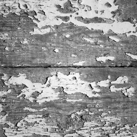 Old wood texture. Floor surface closeupの写真素材