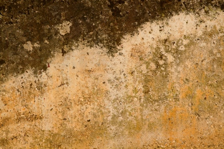 close up texture of old stone wallの写真素材