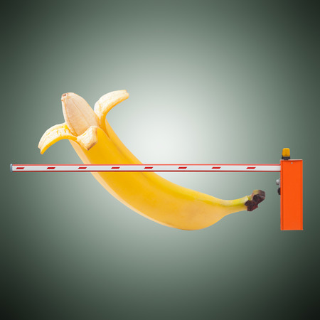 Large banana and measuring tapeの写真素材