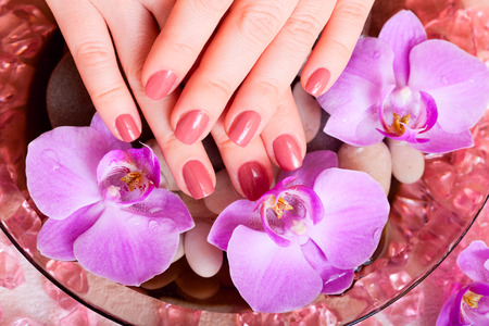 manicure and pedicure. body care, spa treatmentsの写真素材