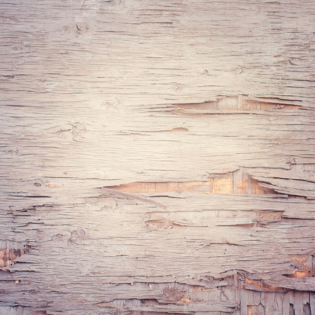 Old wood texture. Empty wooden surface mount design for close-up.の写真素材