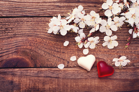 Declaration of love, two hearts, candy couple  Spring  Space for textの写真素材