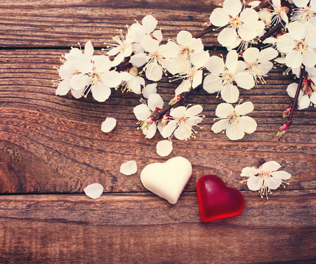 Flowering branch with white delicate flowers on wooden surface  Declaration of love spring  Wedding card and Valentine s Day greeting   Empty wooden tabletopの写真素材