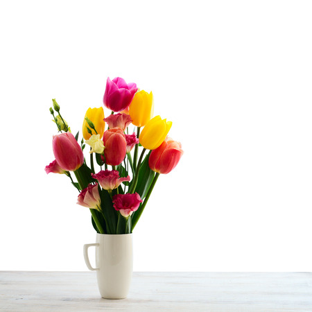 Red tulips flowers isolated on beautiful background. の写真素材