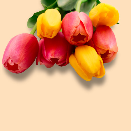 Colorful spring flowers bouquet tulips on wooden backgroundの写真素材