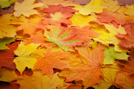 Autumn leaves on wooden table. Autumn is coming, enjoy the seasonの写真素材