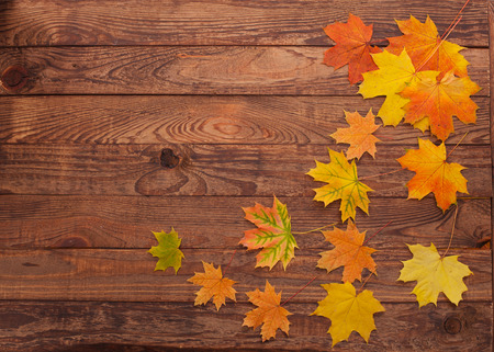 Autumn leaves on wooden table. Autumn is coming, enjoy the seasonの写真素材