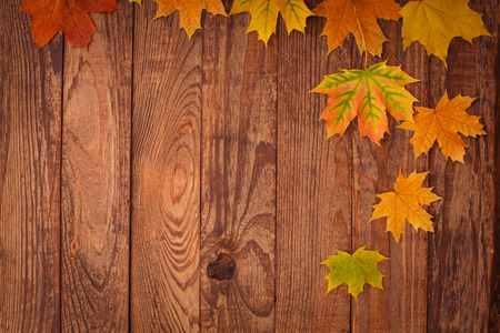 Autumn leaves on wooden table. Autumn is coming, enjoy the seasonの写真素材