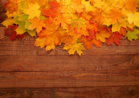 Autumn leaves on wooden table. Autumn is coming, enjoy the seasonの写真素材