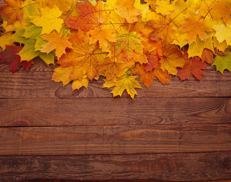 Autumn leaves on wooden table. Autumn is coming, enjoy the seasonの写真素材