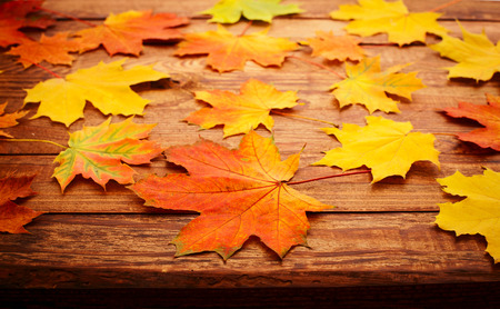 Autumn leaves on wooden table. Autumn is coming, enjoy the seasonの写真素材