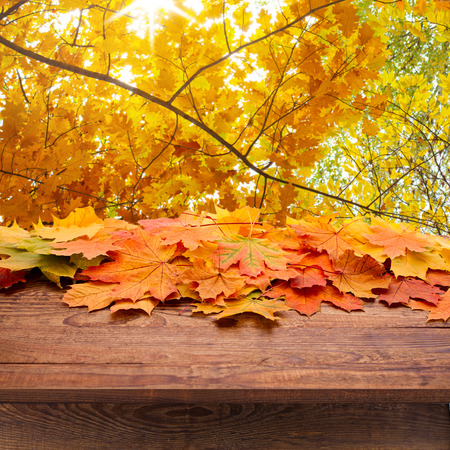 Empty wooden deck table for product montage. Sunny day autumn landscape, panorama.の写真素材