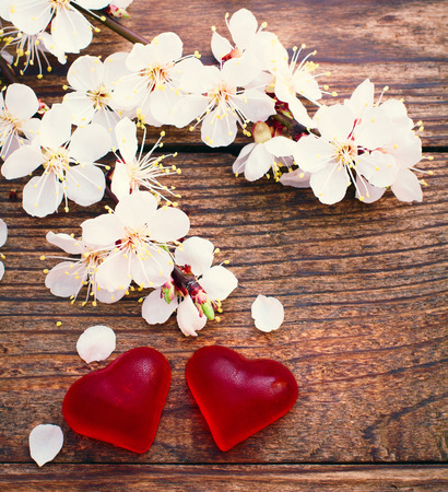 Flowering branch with white delicate flowers on wooden surface. Declaration of love, spring. Wedding card, Valentines Day greeting. Wedding rings. Wedding bouquet, background.の写真素材