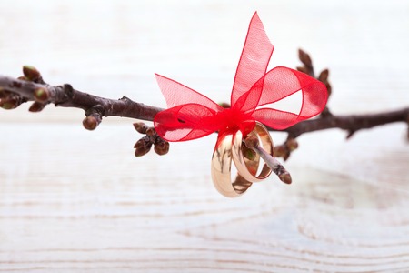 Wedding decoration with wedding rings. Wedding background horizontallyの写真素材