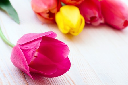 Bouquet of spring flower tulips on white wooden backgroundの写真素材