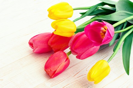 Bouquet of spring flower tulips on white wooden backgroundの写真素材