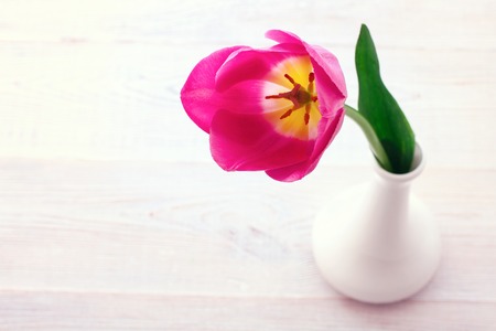 Bouquet of spring flower tulips on white wooden backgroundの写真素材