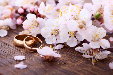 Wedding rings. Spring. Flowering branch with white delicate flowers on wooden surface.の写真素材