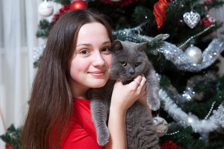 Christmas party, winter holidays woman with cat. New year girl. christmas tree in interior background.の写真素材