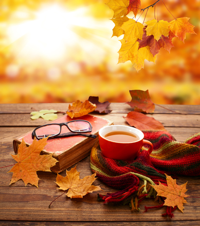 Autumn background. Autumn leaves, book and cup of tea on wooden table in park.の写真素材