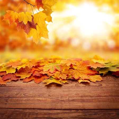 Autumn background product montage display. Mock up for design..の写真素材